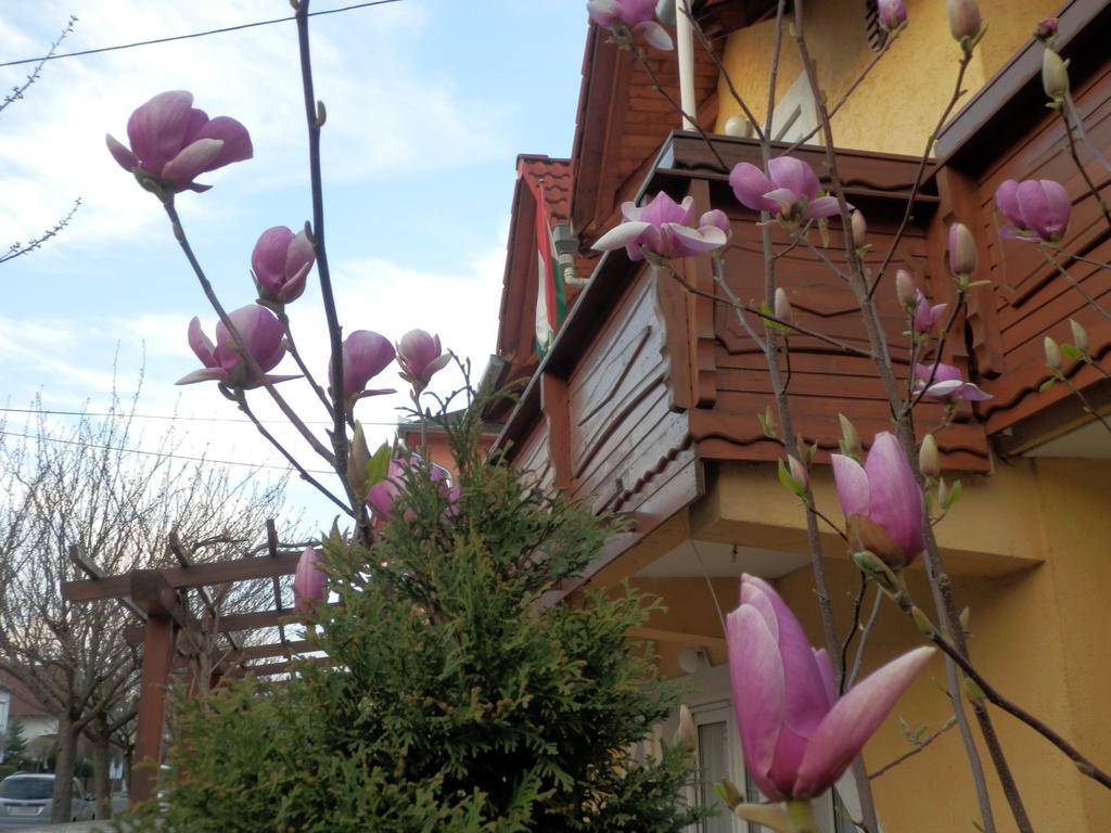 Zsuzsanna Haz Otel Hévíz Oda fotoğraf