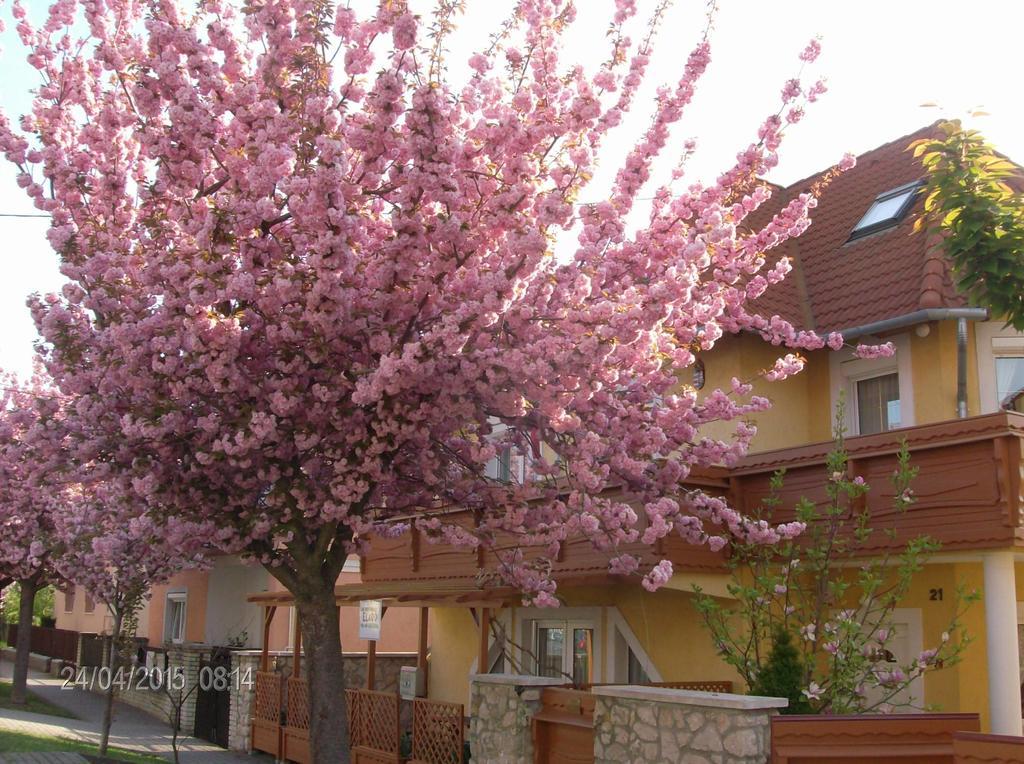 Zsuzsanna Haz Otel Hévíz Dış mekan fotoğraf